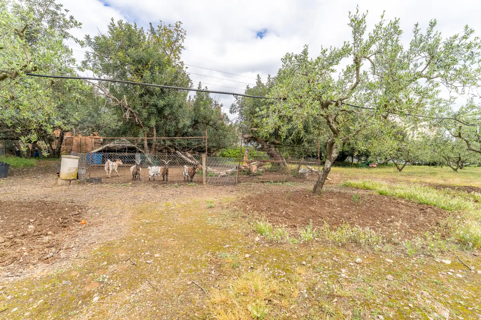 Casa o xalet en venda en Reus amb Calefacció, Jardí privat i Terrassa