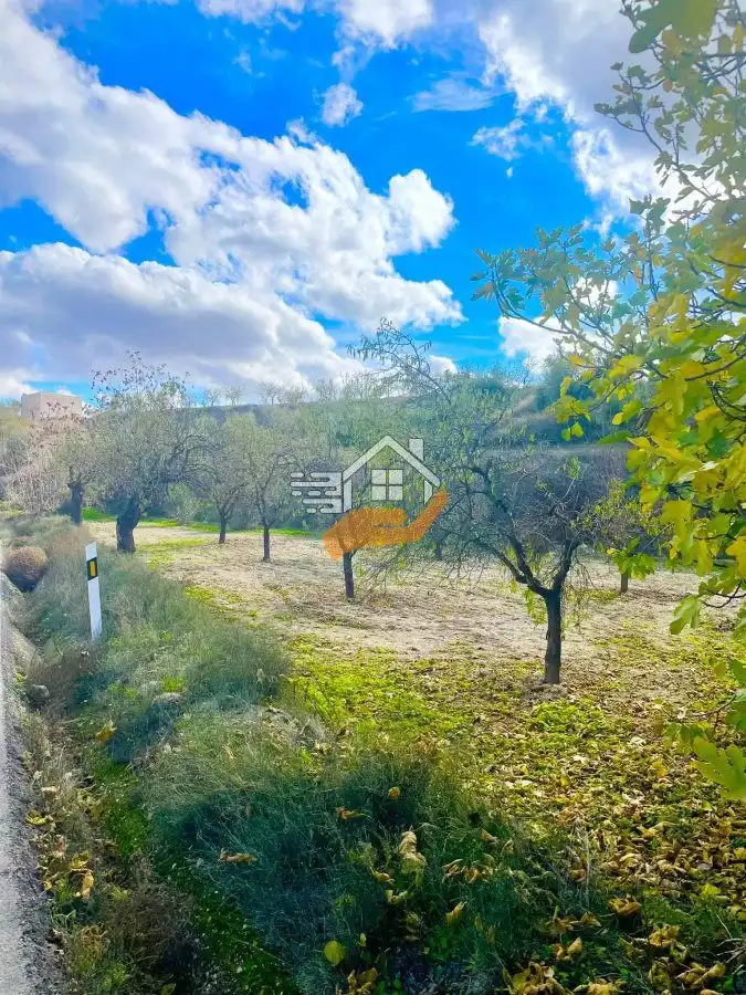 Residential land for sale in Vélez-Rubio, imagen 4