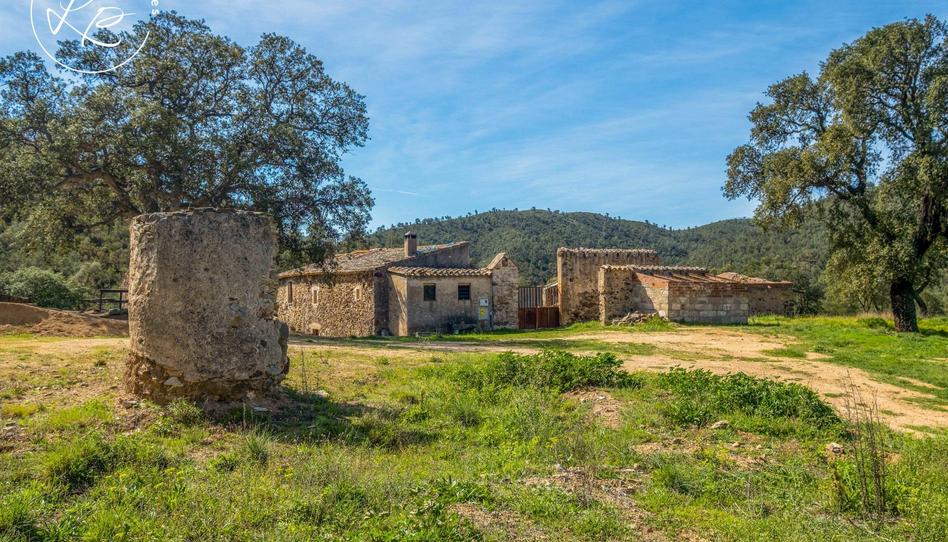 Foto 1 de Finca rústica en venda a  7, Darnius, Girona