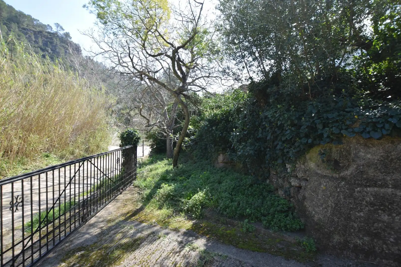 Jardí de Casa o xalet en venda en Alfara de Carles amb Terrassa, Traster i Piscina