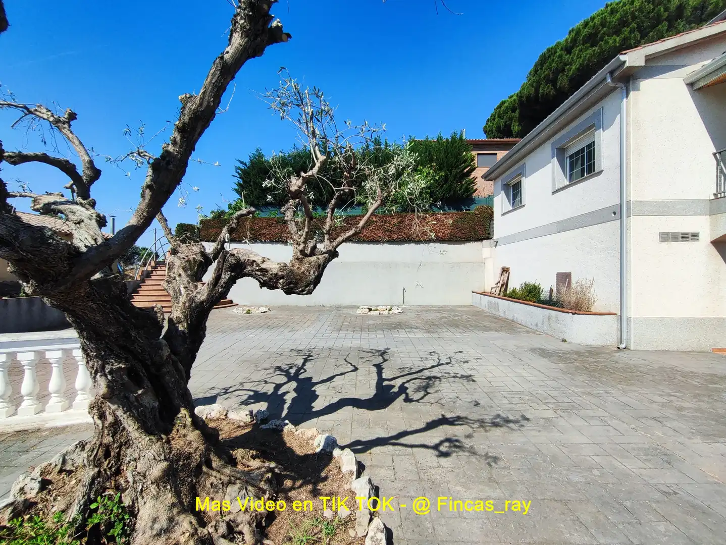 Jardín de Casa o chalet en venta en Bigues i Riells del Fai con Calefacción, Jardín privado y Terraza