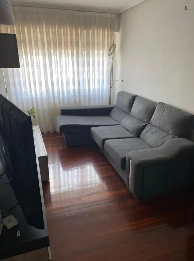 Living room of Apartments for share in Bilbao   with Furnished, Oven and Washing machine