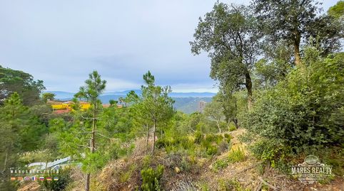 Terreno con magníficas vistas al Pirineo, imatge 2