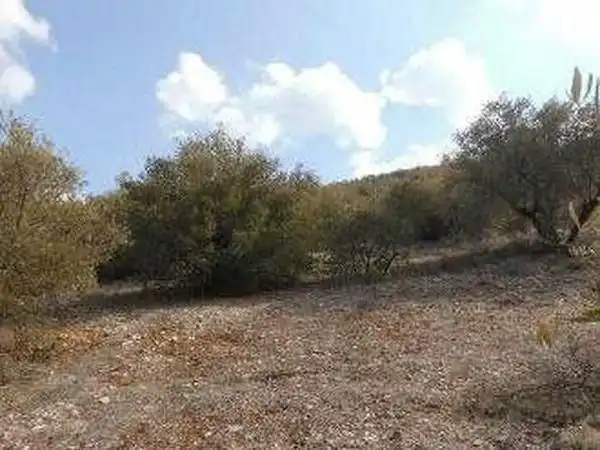 Terreni e lotti in vendita a Alcaudete, imagen 6