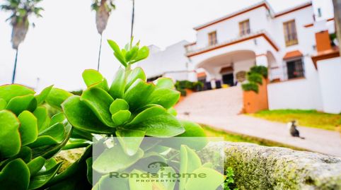Foto 4 de Finca rústica en venda a Villamartín, Cádiz