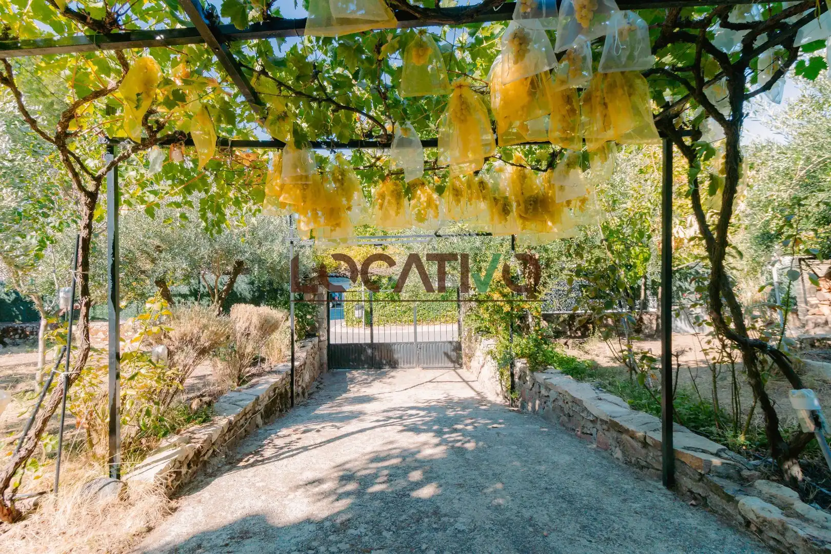 Jardí de Casa o xalet en venda en Robledo de Chavela amb Calefacció, Jardí privat i Traster