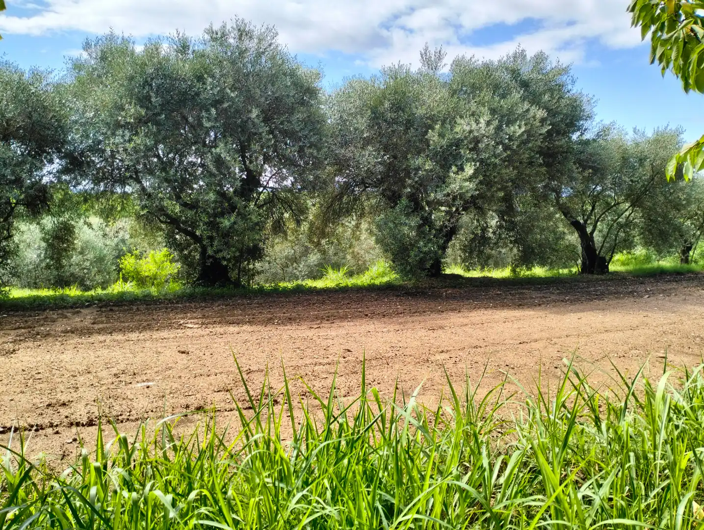 Casa o xalet en venda en Cervià de Ter amb Jardí privat, Terrassa i Balcó