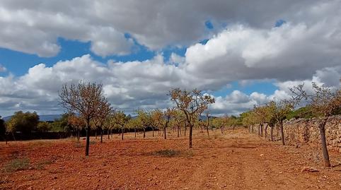 Foto 2 de Residencial en venda a Puntiró, Palma de Mallorca