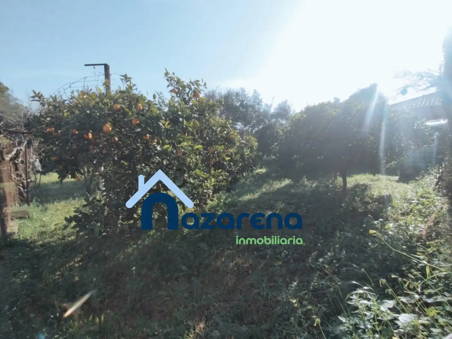 Terreno en venta en Coria del Río