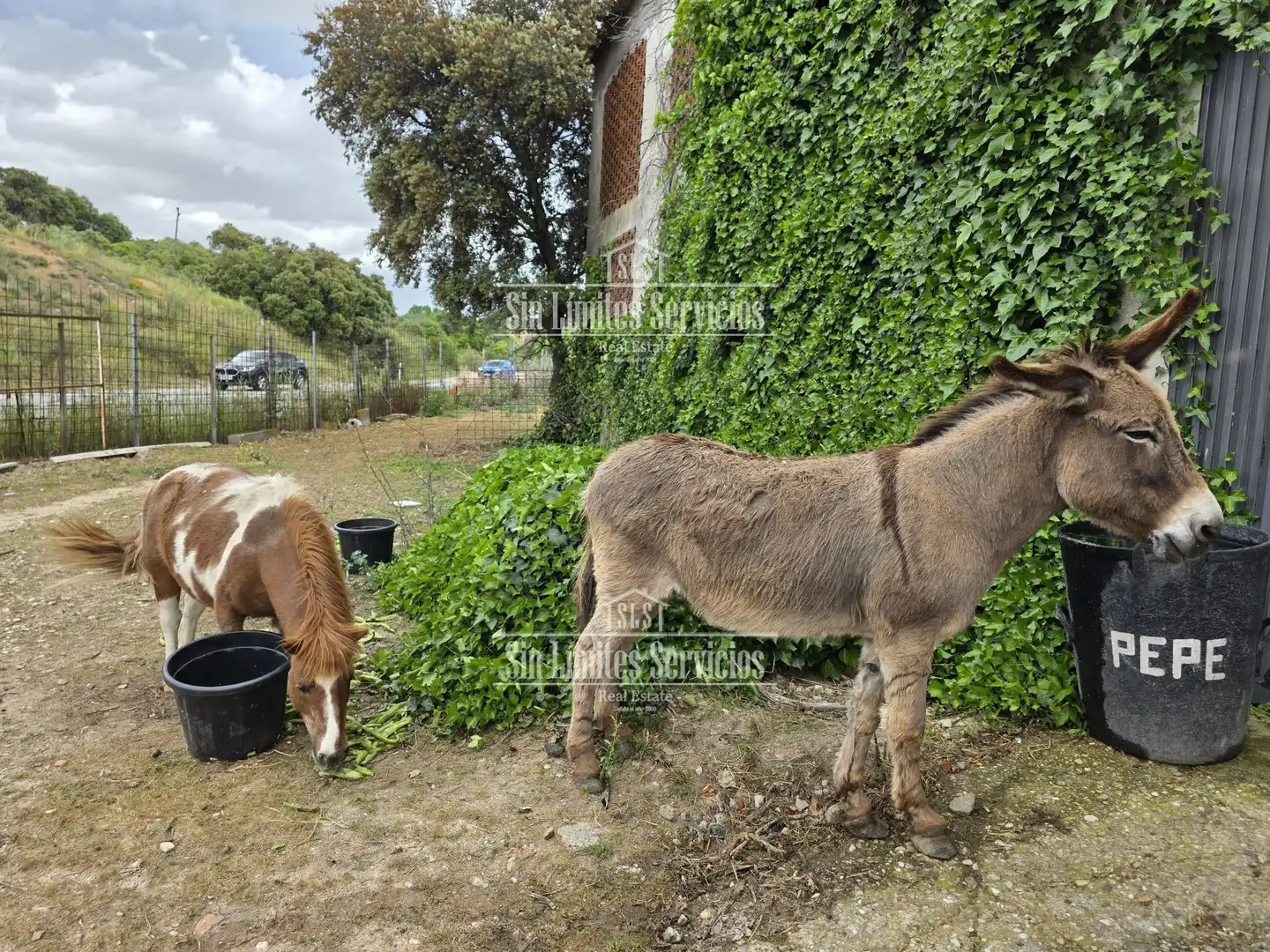 Rural land for sale in CL DISEMINADO 641, imagen 4