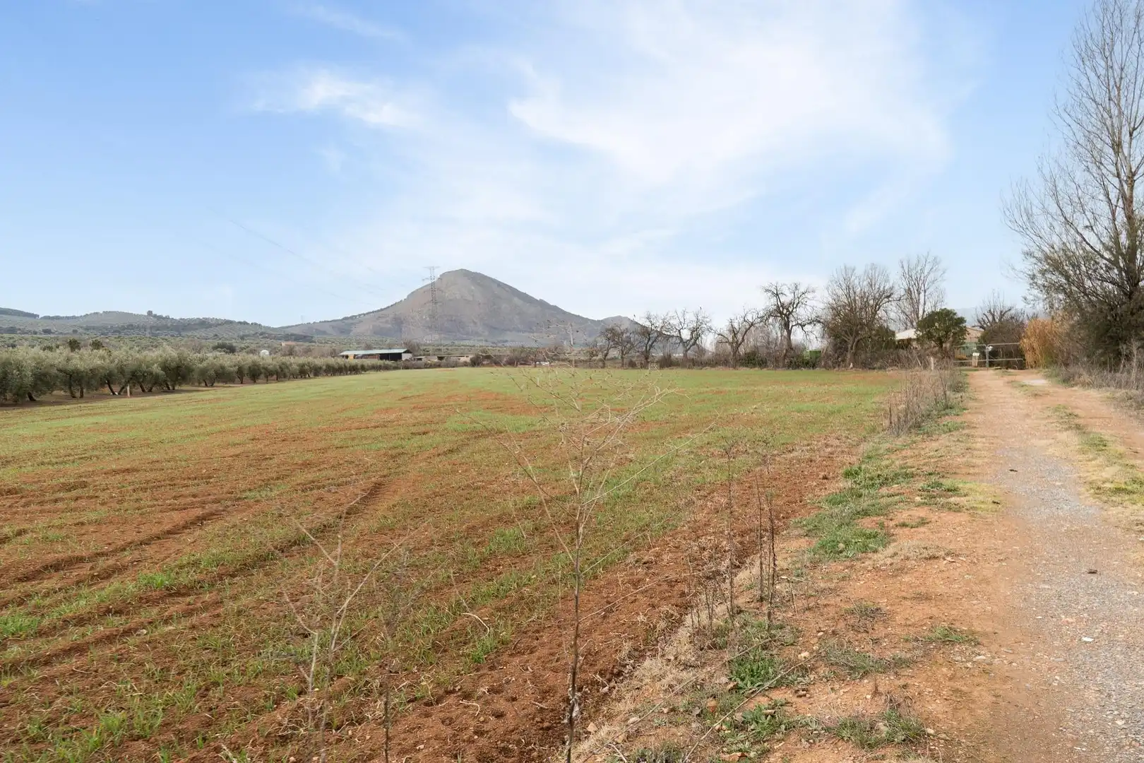Terrenys i solars en venda a Polígono 23 Parcela 63 LA ZANJA. ALBOLOTE (GRANAD 23, imagen 34