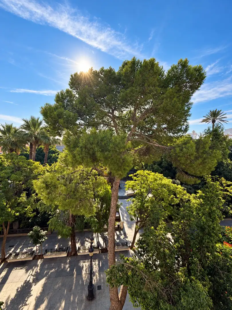 Jardín de Piso de alquiler en Alameda - Mentidero - Teatro Falla