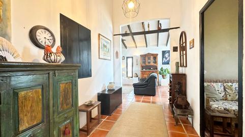 Foto 4 de Finca rústica en venda a Benimeit - Tabaira, Alicante