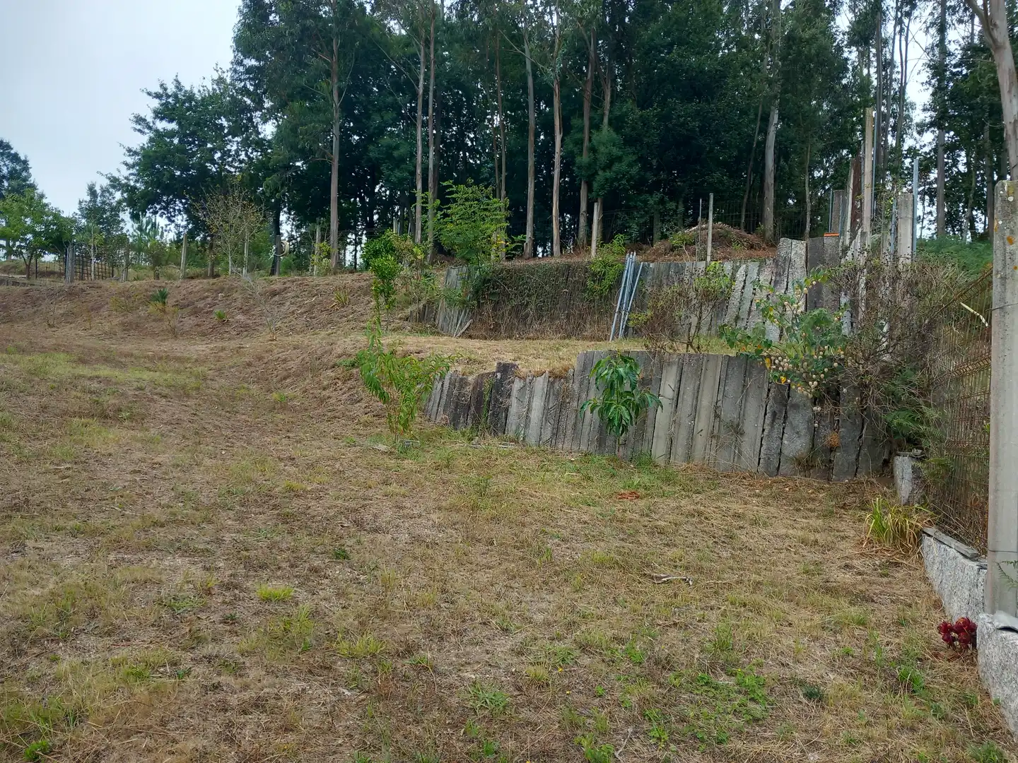 Casa o chalet en venta en Meis