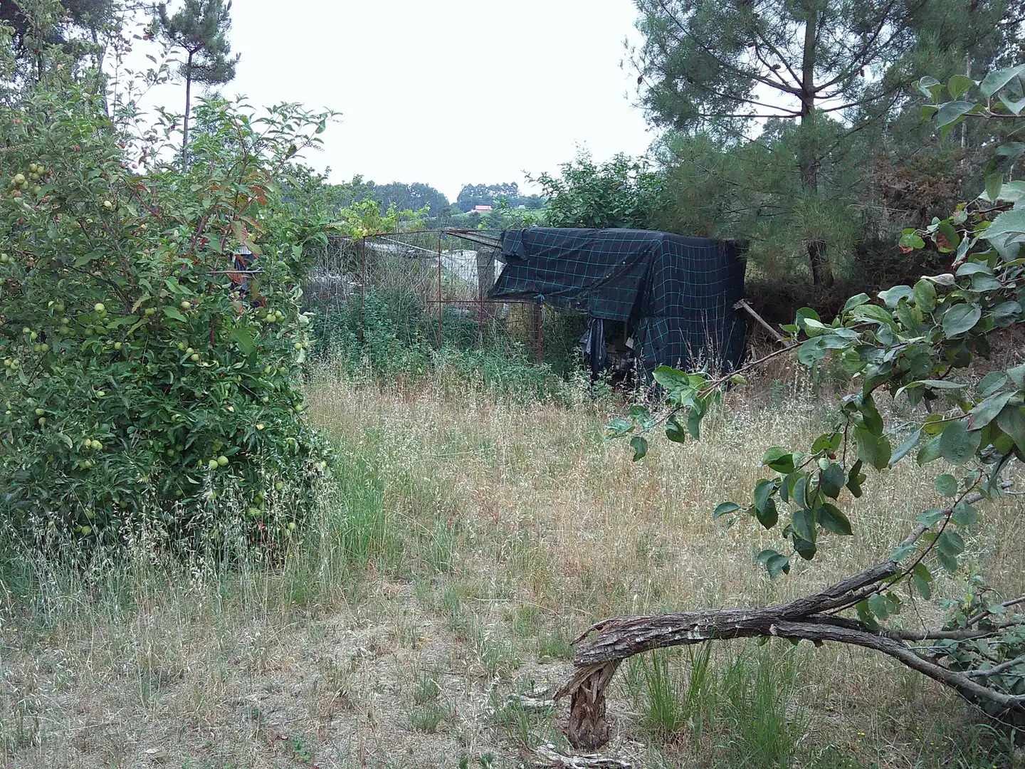 Wohnbaugrundstück zum Verkauf in Calle Picoña, imagen 5