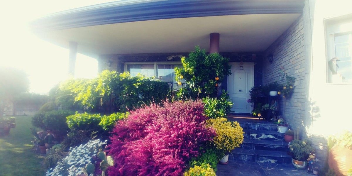 Jardí de Casa o xalet en venda en Durango amb Jardí privat i Alarma