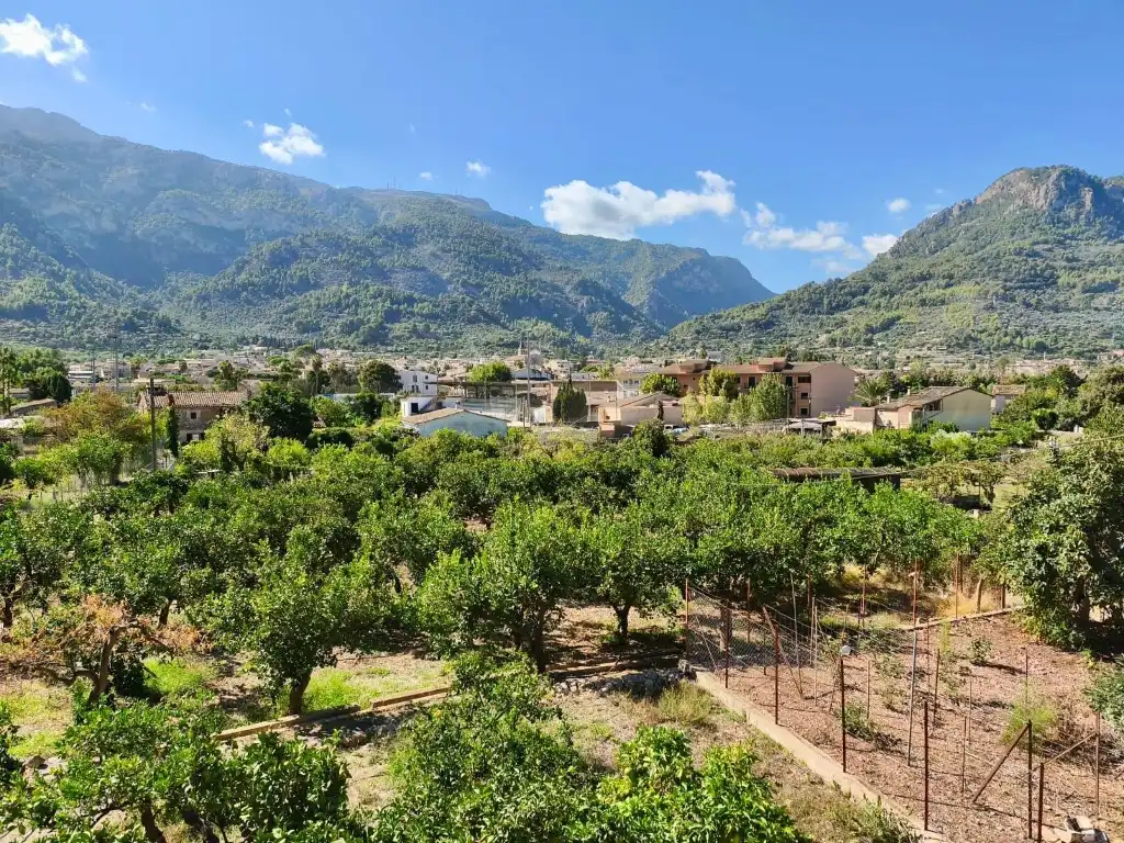Vista exterior de Finca rústica en venda en Sóller amb Jardí privat, Terrassa i Moblat