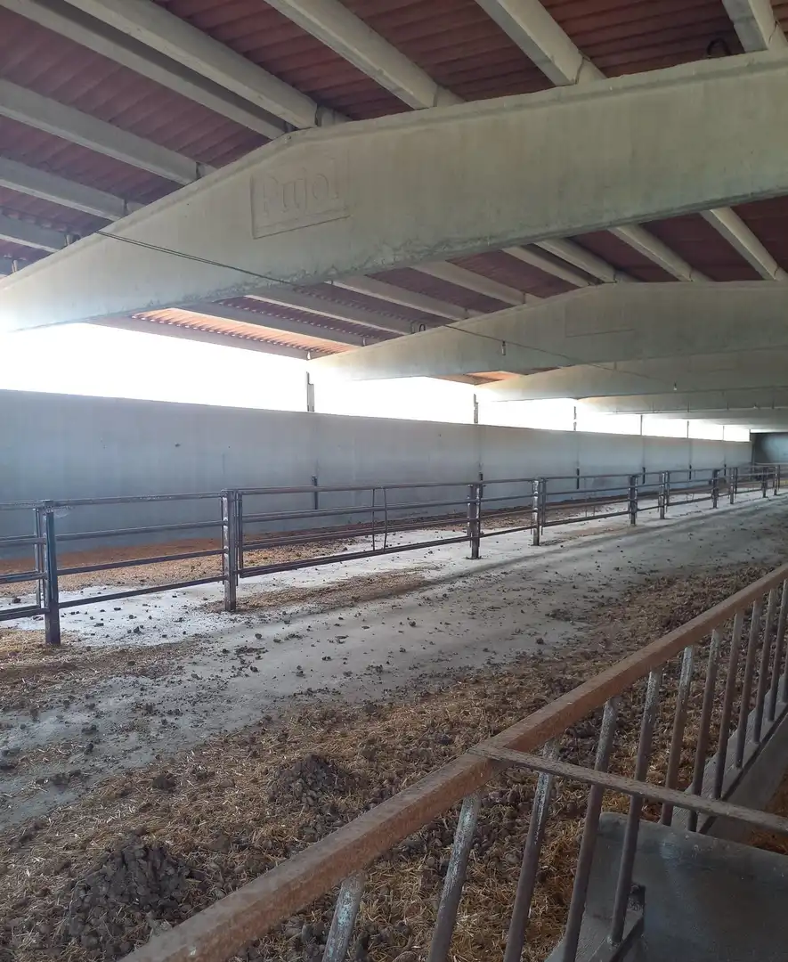 Finca rústica en venta en Tivissa