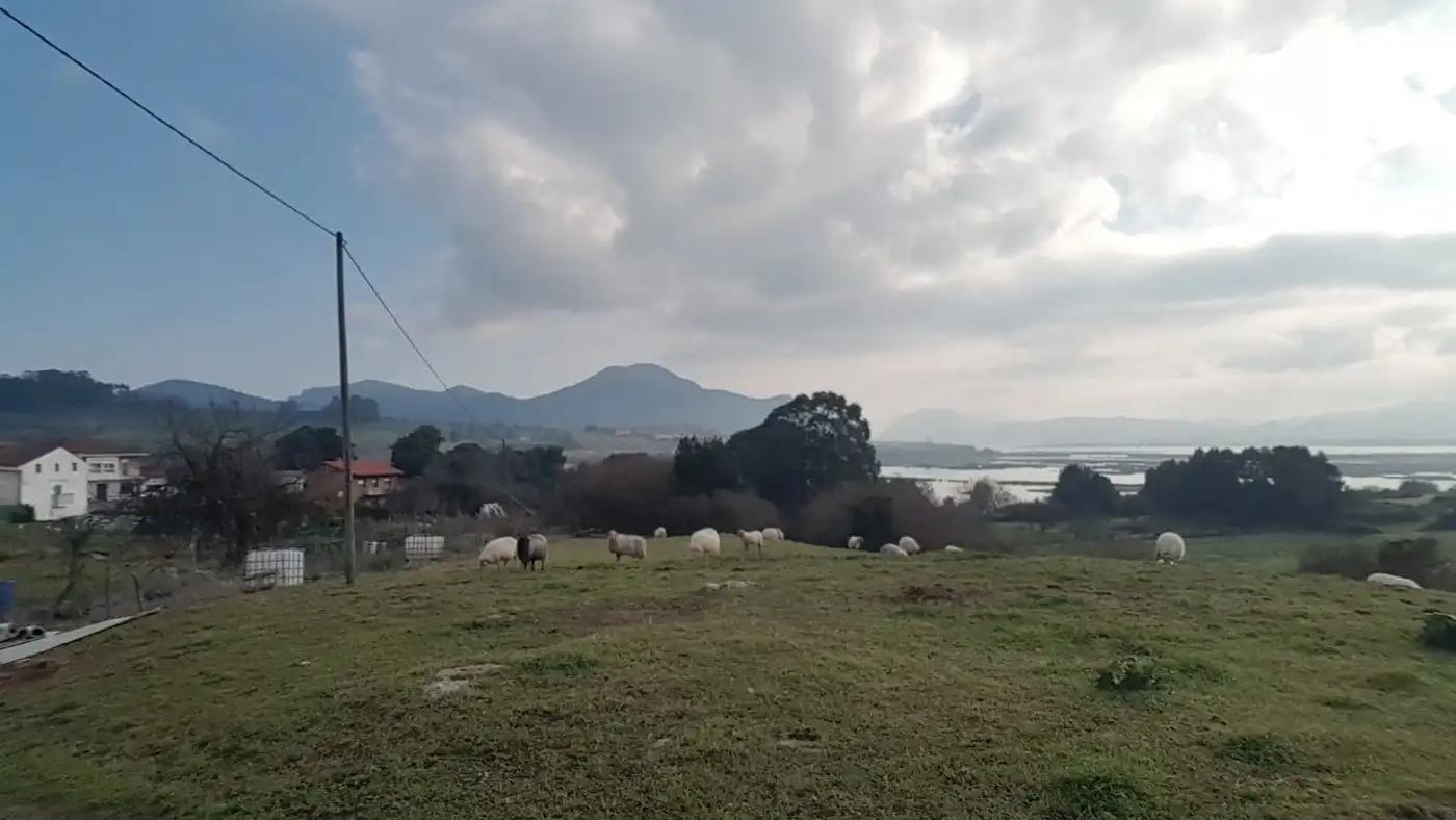 Terreno rústico en venta en Argoños, imagen 2