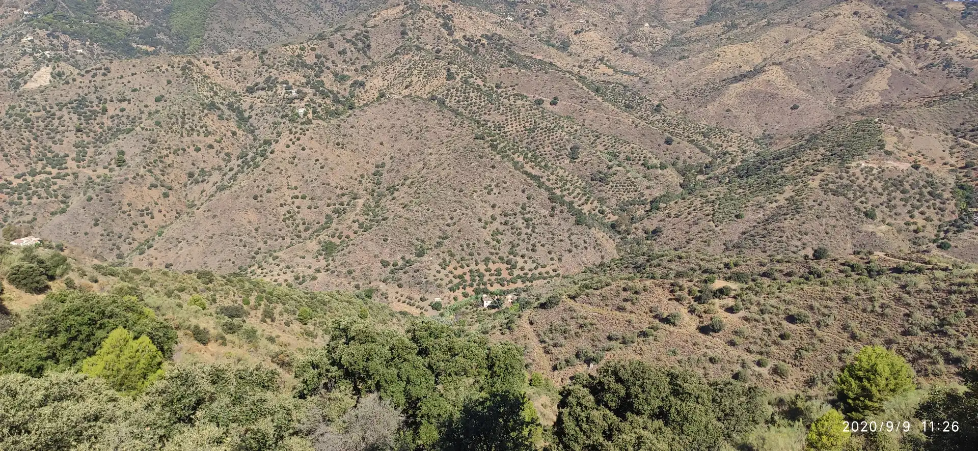 Terreno rustico in vendita a Monda, imagen 3