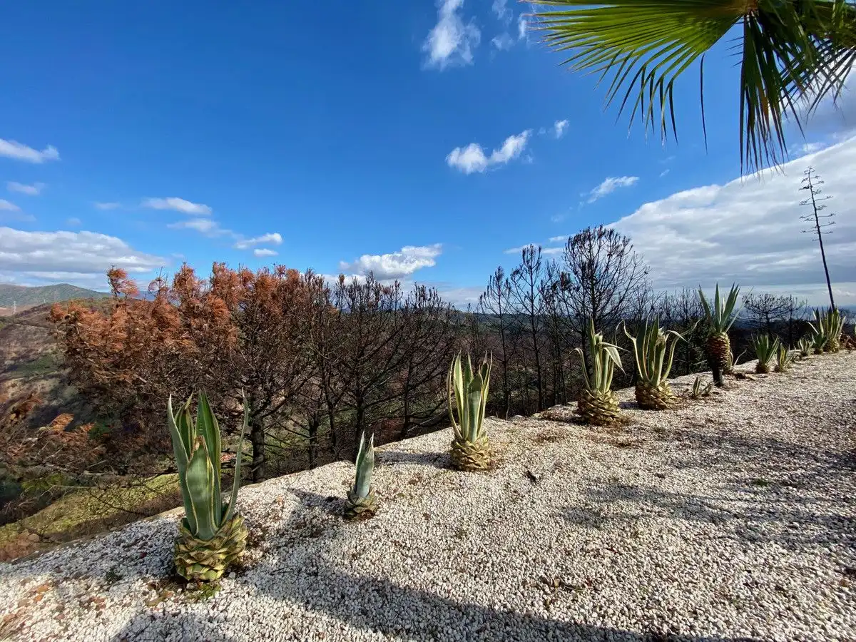 Xalet amb terrassa en venda a Estepona Pueblo, imagen 40