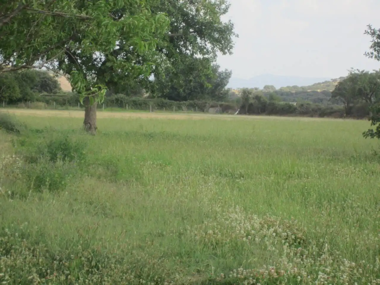 Terreno rustico in vendita a Calle RONDA DEL MEDIODIA, imagen 33