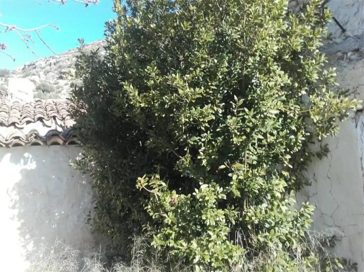 Finca rústica en venta en Alatoz