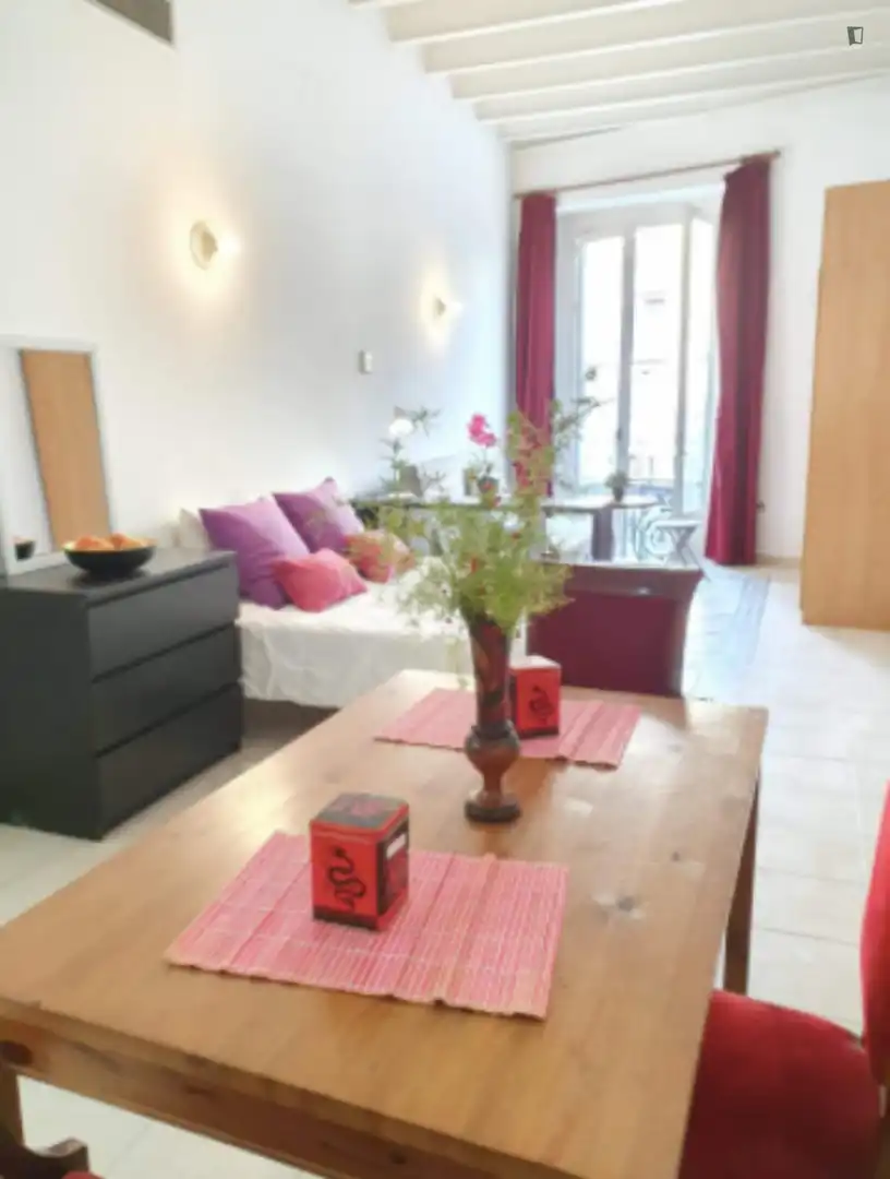 Studio zur Miete in Ciutat Vella, imagen 5