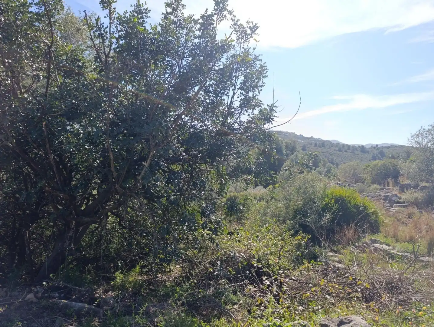Wohnbaugrundstück zum Verkauf in El Ràfol d'Almúnia
