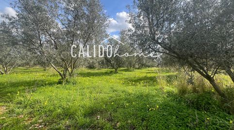 Terreno en venta, immagine 2