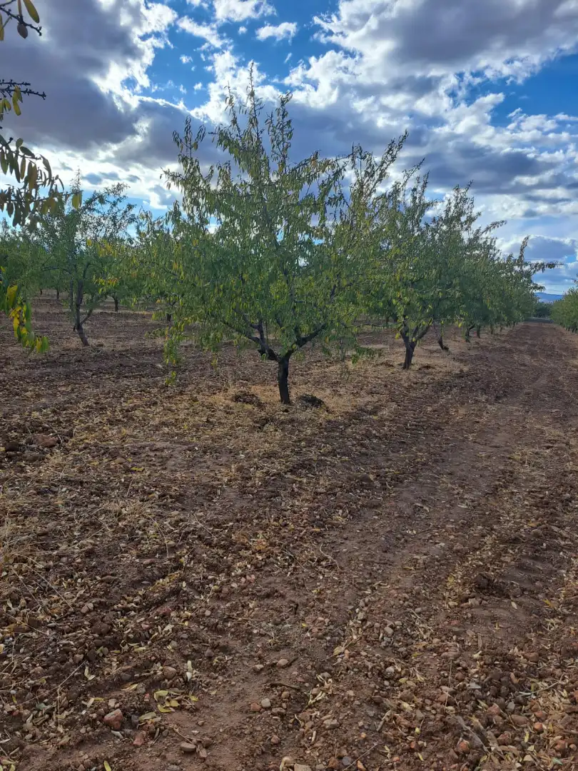 Rustikales Grundstück zum Verkauf in Guadix, imagen 5