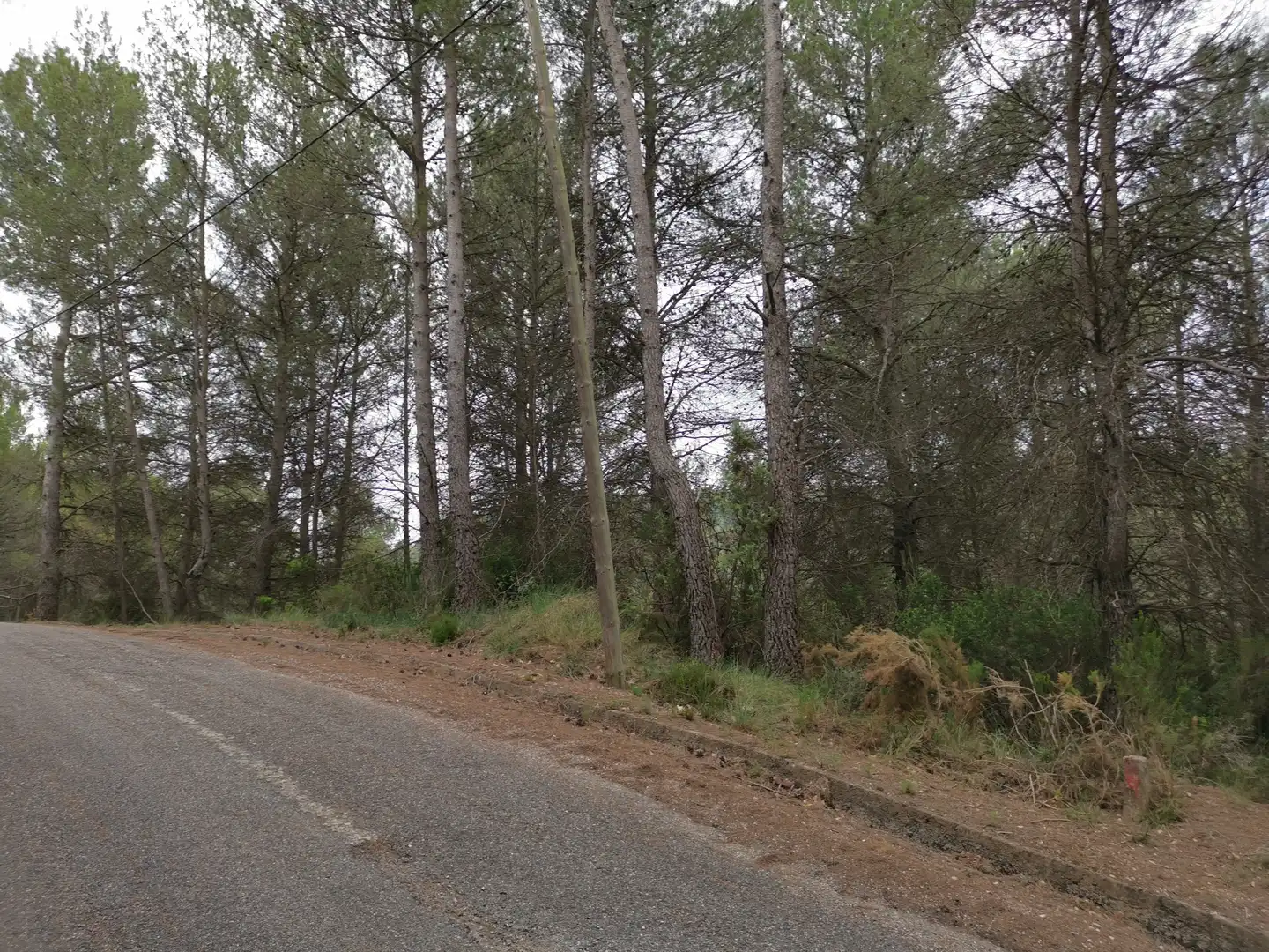Terreny residencial en venda a El Montmell, imagen 17