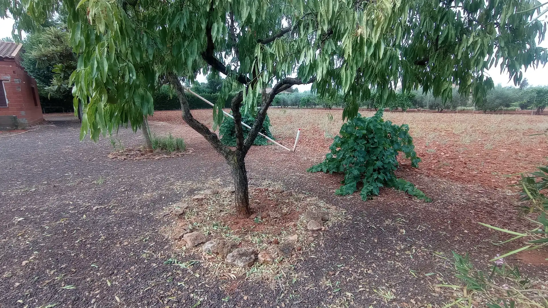 Grundstücke zum Verkauf in Miguelturra
