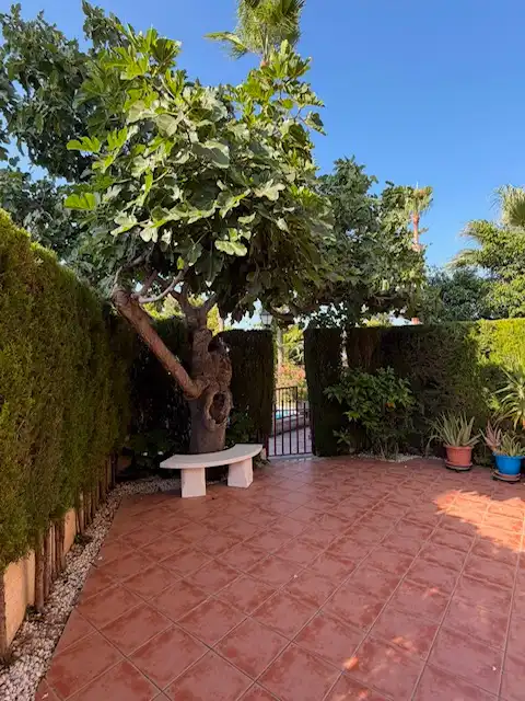 Villa con terrazza in vendita a Avinguda Albufereta, imagen 51