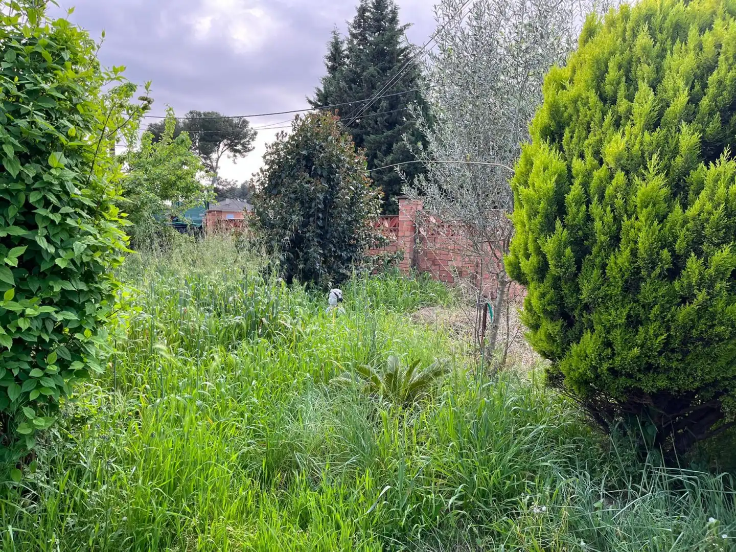 Villa con giardino in vendita a de Vilanova, imagen 29