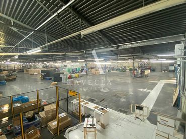 Nave industrial in affitto a Avenida Esport 1