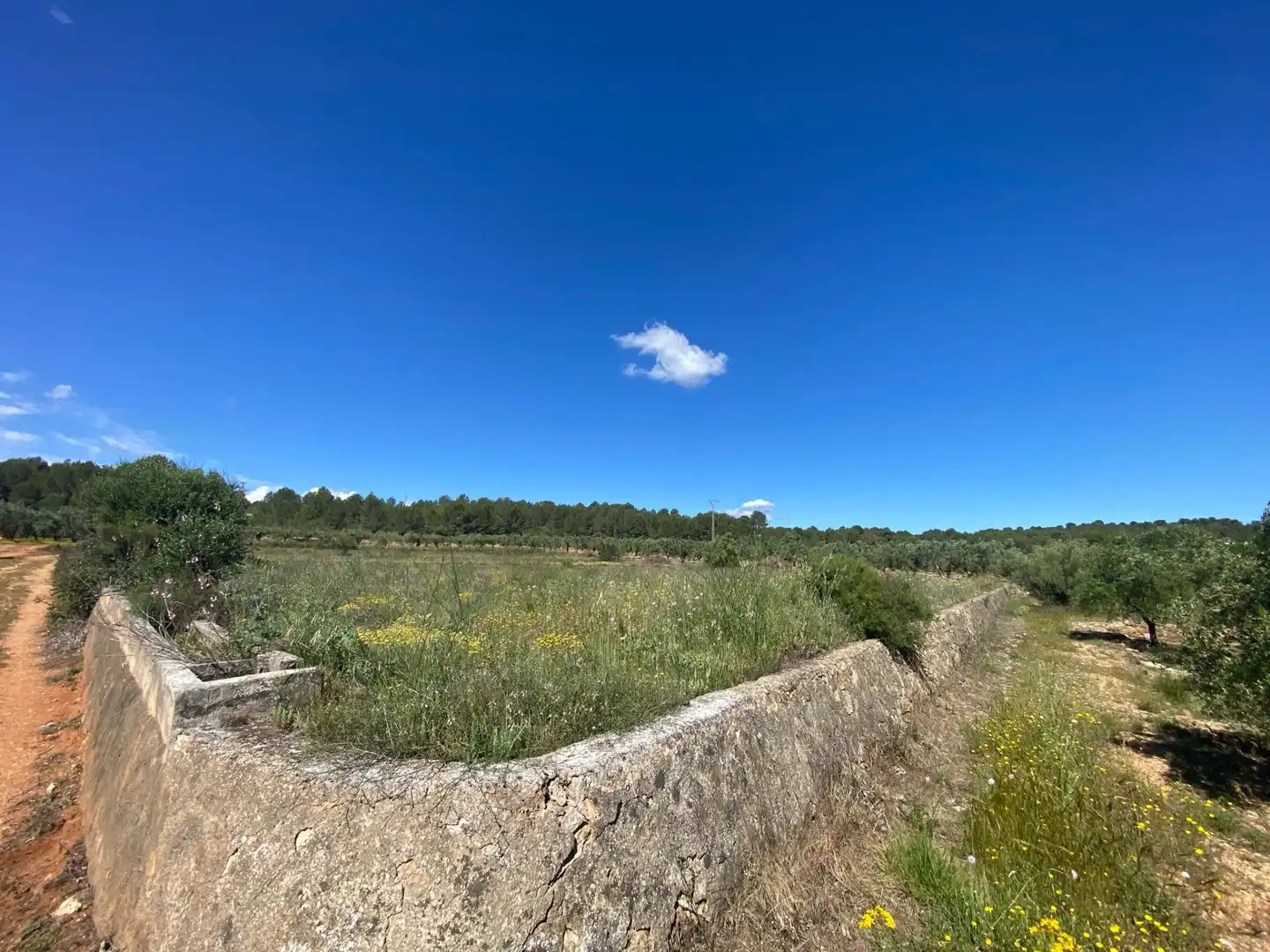 Terrain résidentiel à vendre à Chella