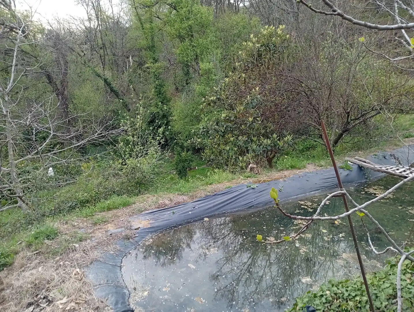 Terreni e lotti in vendita a Valverde de la Vera, imagen 90