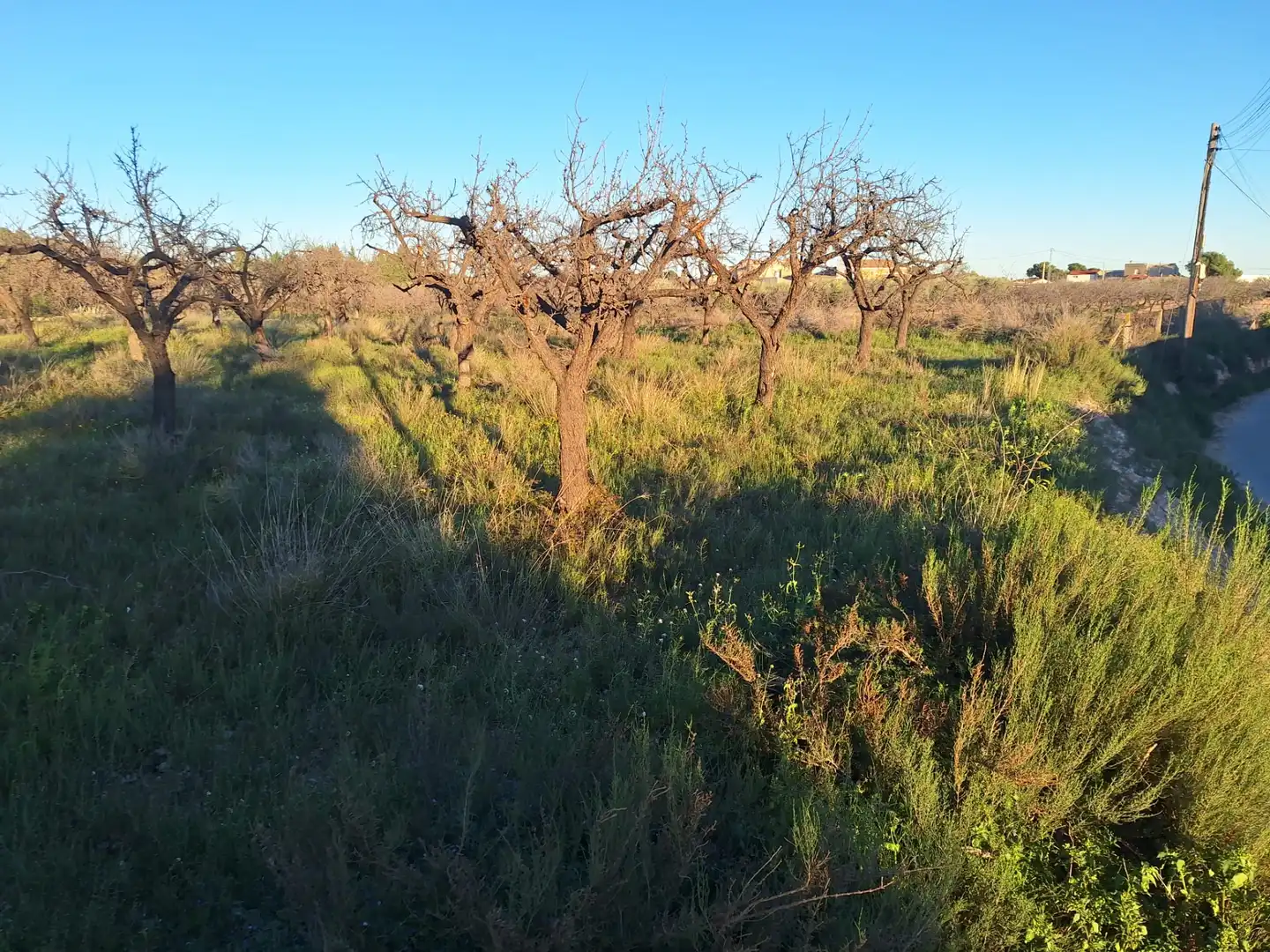 Terreny en venda en San Vicente del Raspeig / Sant Vicent del Raspeig