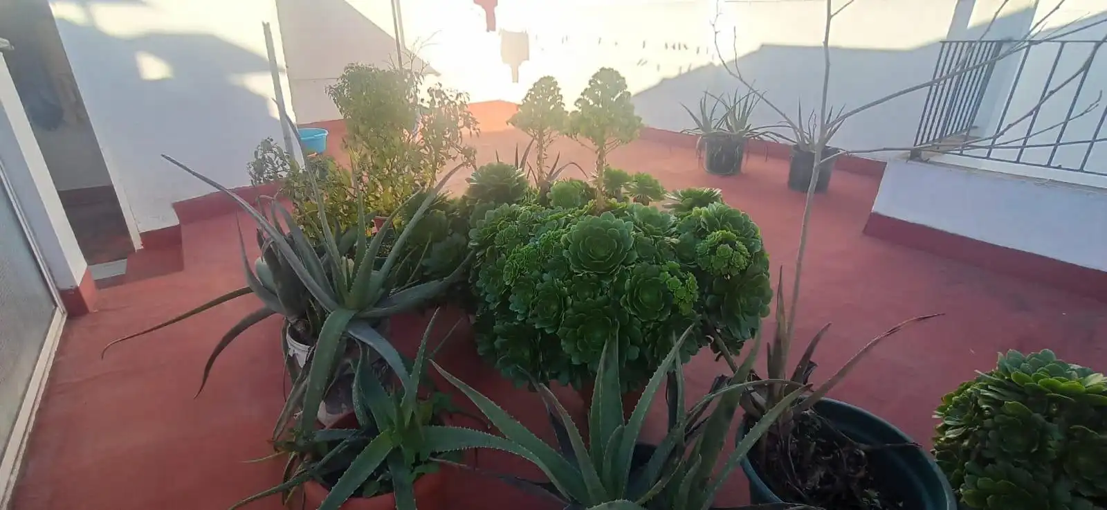Terrassa de Casa o xalet en venda en Écija amb Terrassa i Traster