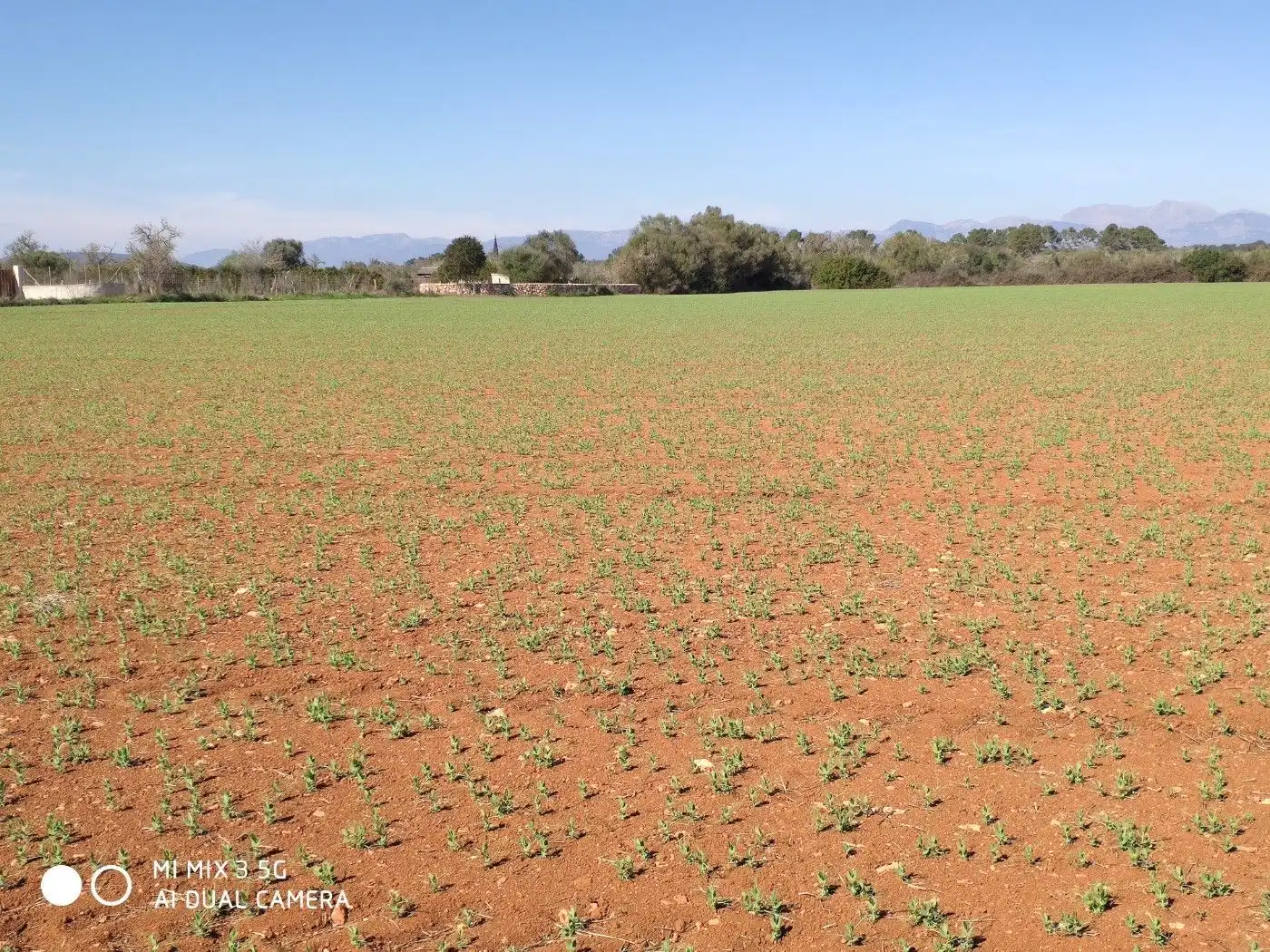 Terrain résidentiel à vendre à Algaida, imagen 6