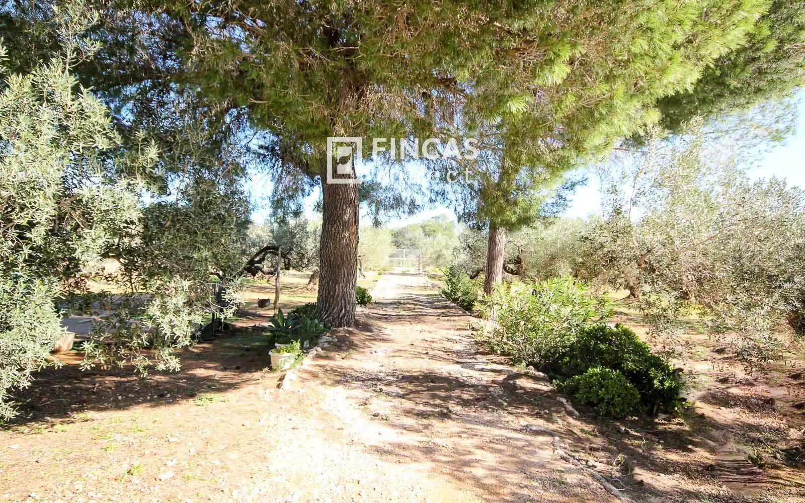 Finca rústica en venda en Camarles amb Terrassa i Moblat