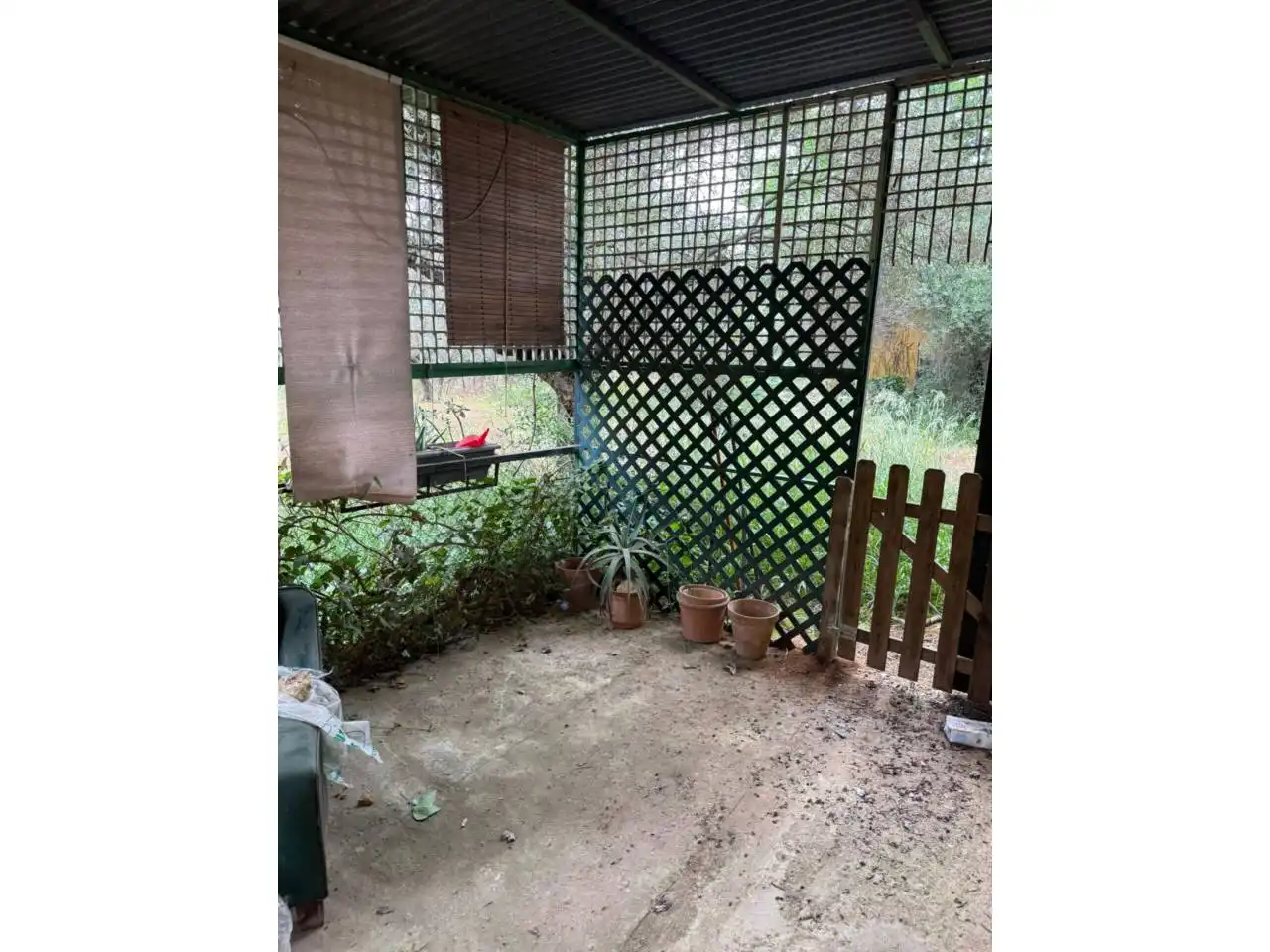 Chalet con jardín en venta en Urbanizacion Tres Palmeras, imagen 4