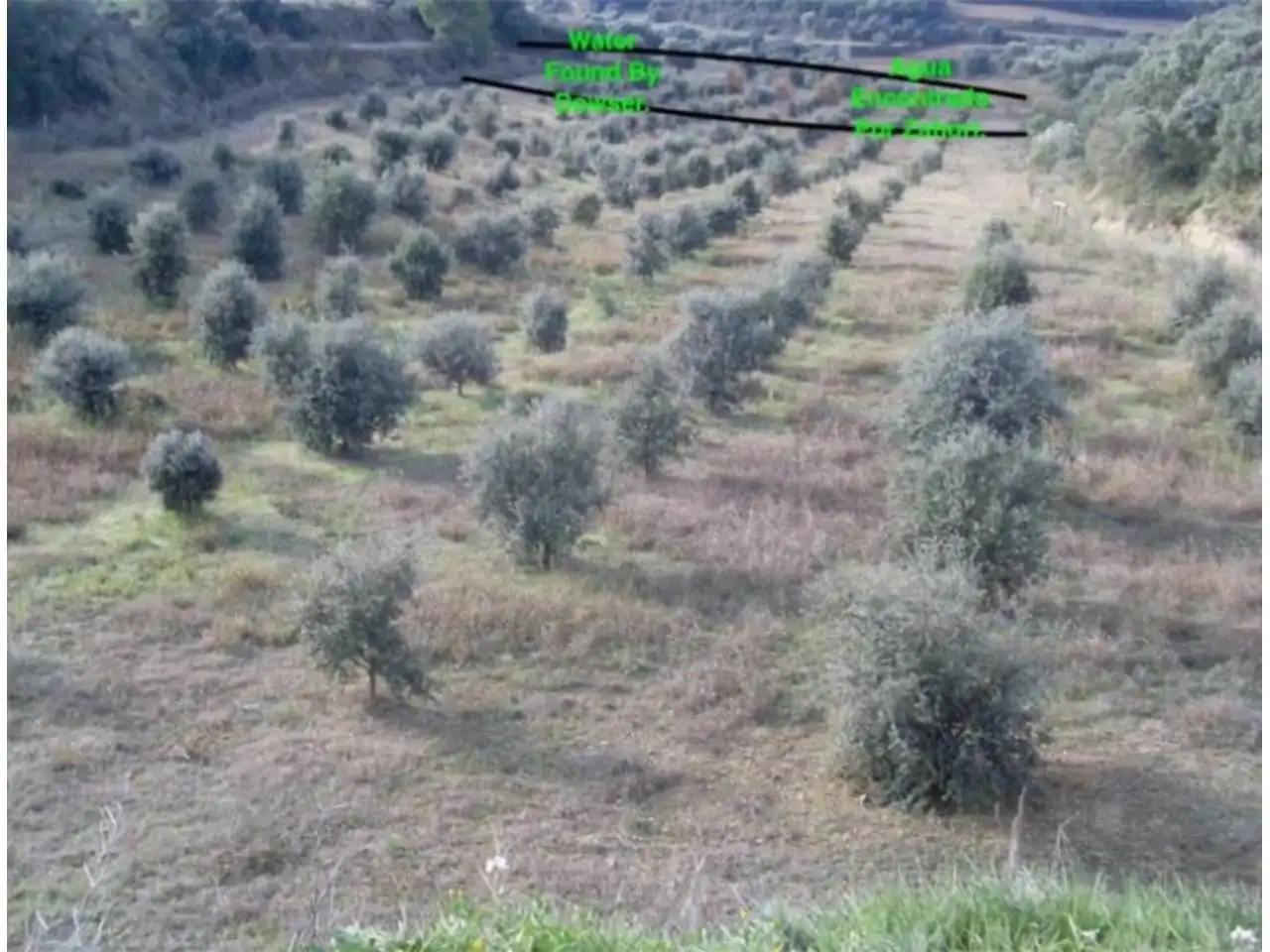 Terreni e lotti in vendita a Poligono 19, imagen 5