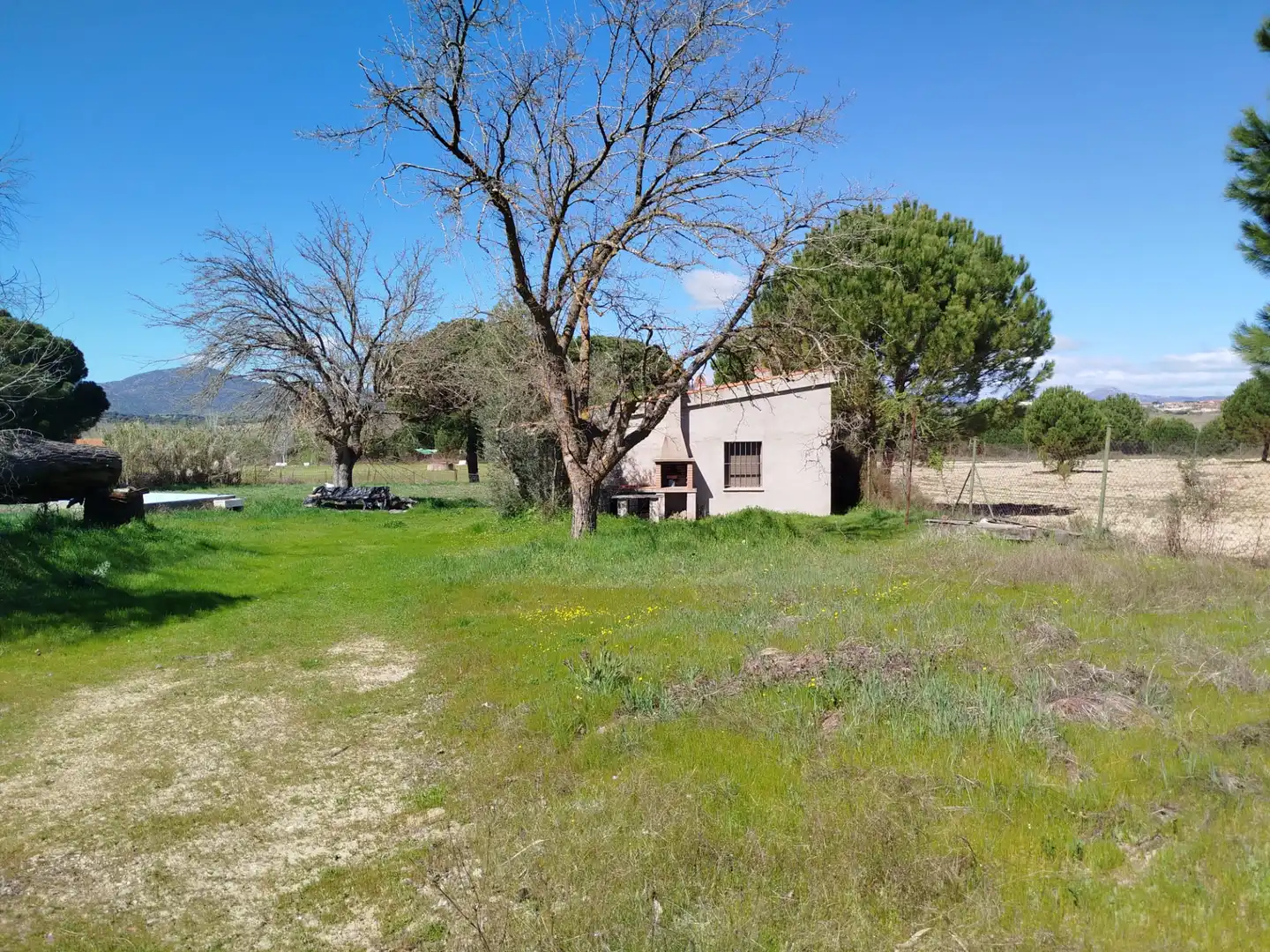 Land for sale in Escalona
