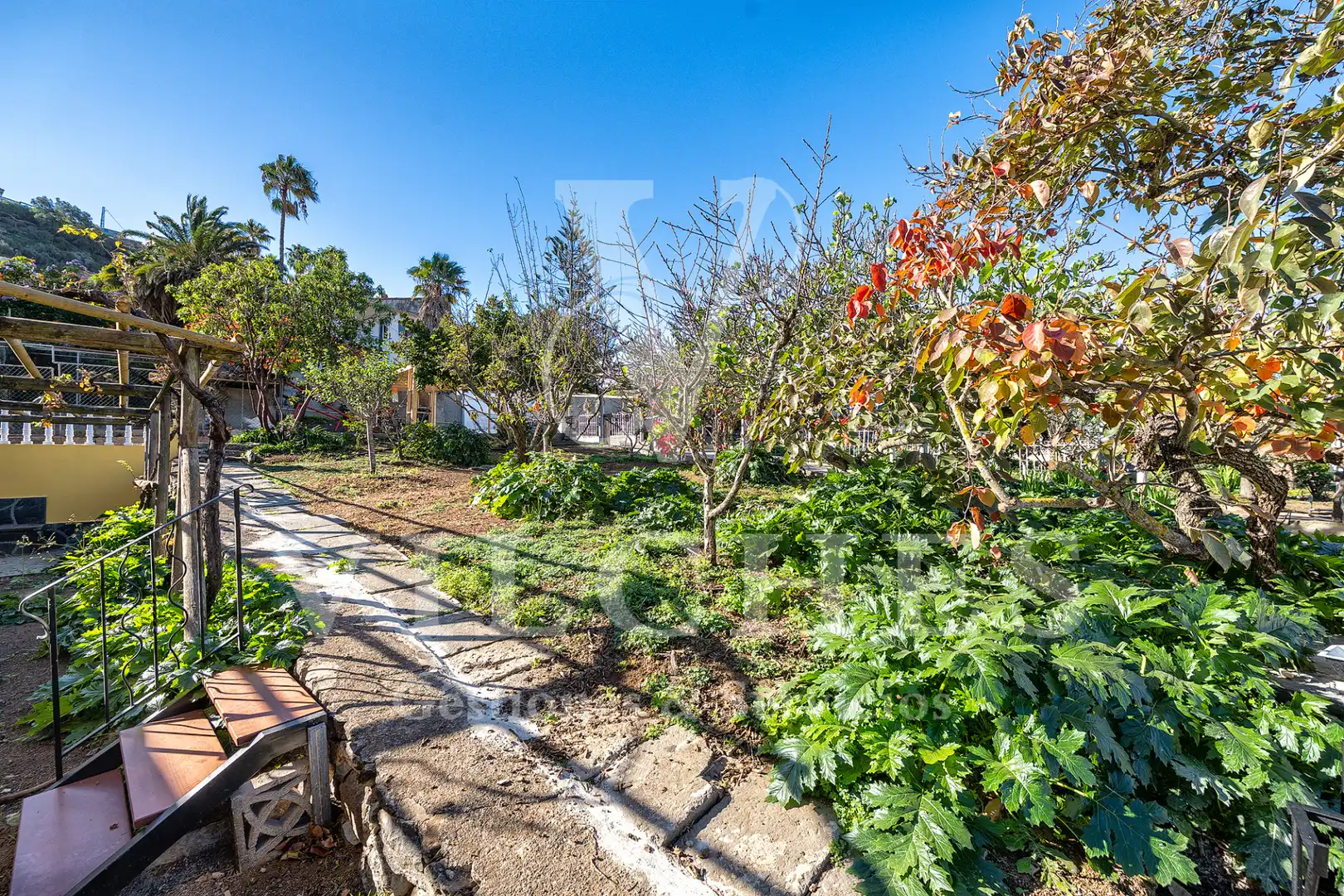 Jardí de Casa o xalet en venda en Santa Brígida amb Jardí privat, Terrassa i Traster
