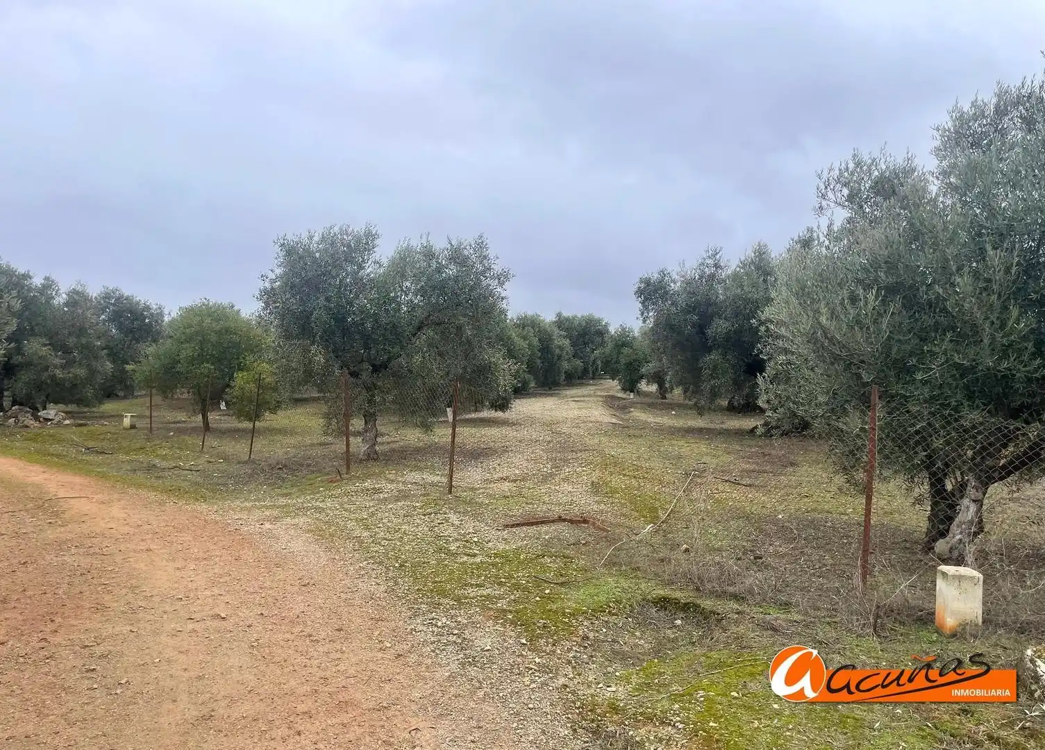 Terrenos y solares en venta en Alameda, imagen 5