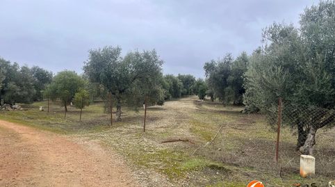 Terreno en Alameda, Málaga, immagine 5