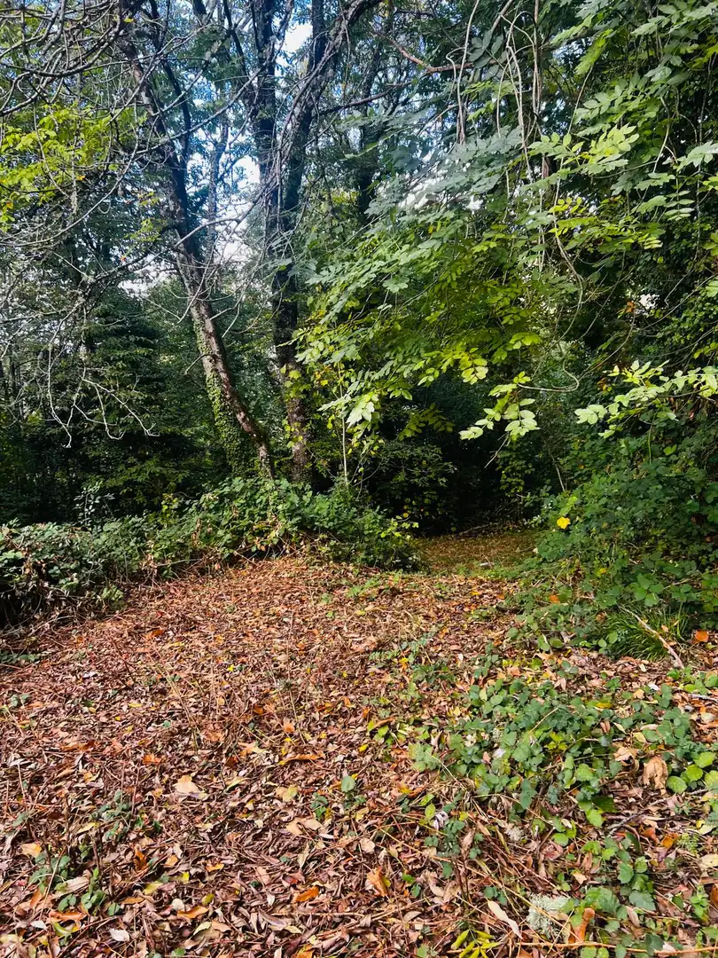Finca rústica en venta en O Incio , Lugo