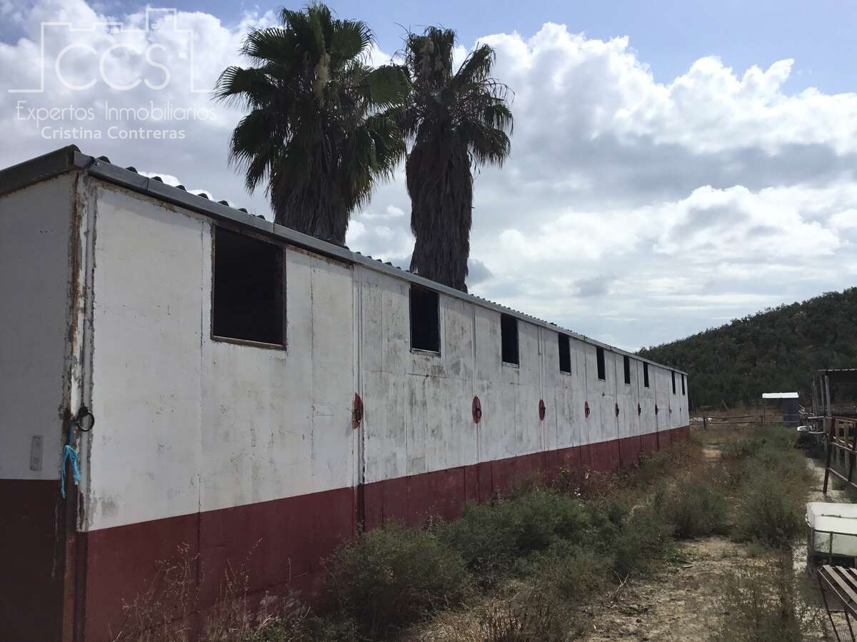 Vista exterior de Finca rústica en venda en Sanlúcar la Mayor